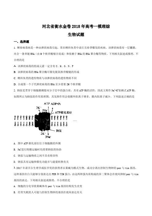 河北省衡水金卷2018届高三高考一模理综生物试题(原卷版)