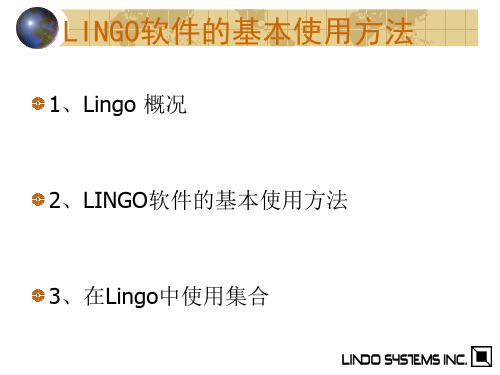 lingo 的使用方法