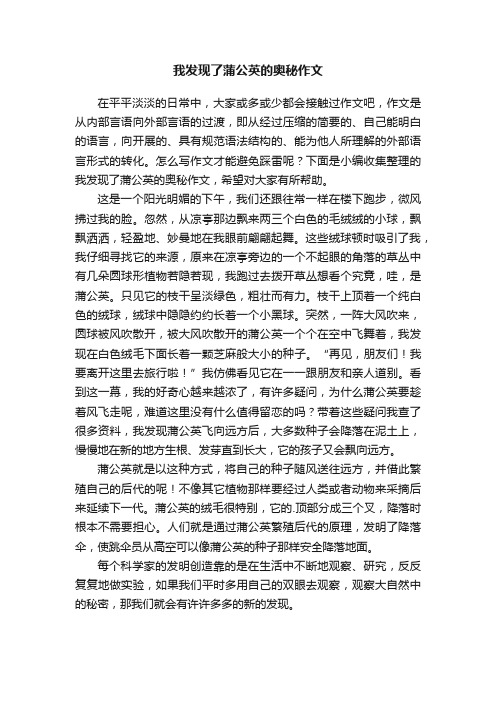 我发现了蒲公英的奥秘作文