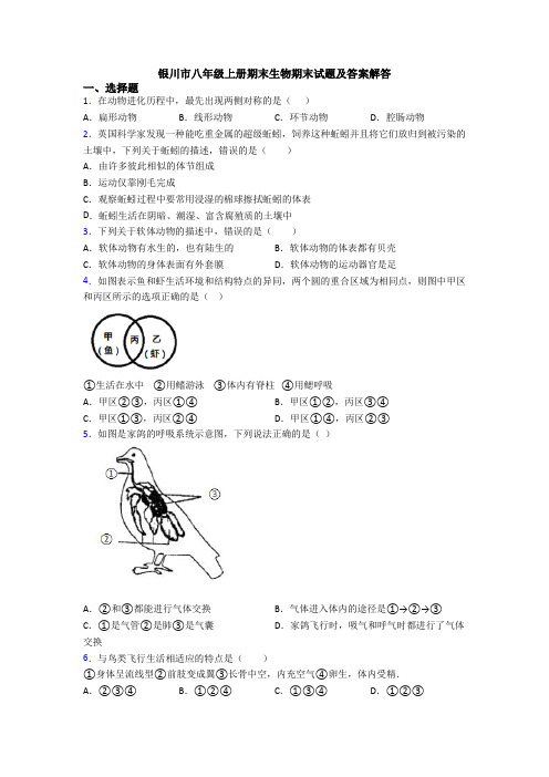 银川市八年级上册期末生物期末试题及答案解答