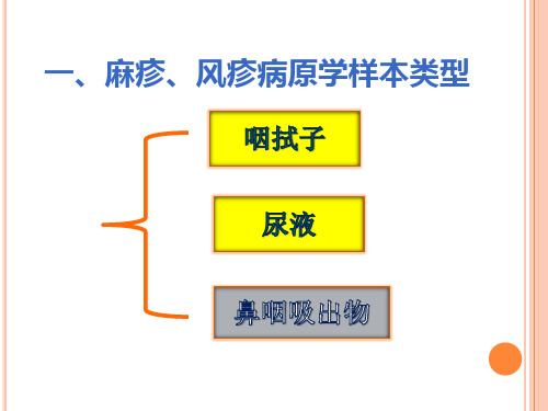 麻疹风疹病原学样本处理