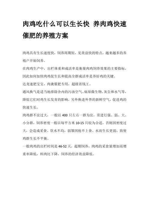 肉鸡吃什么可以生长快 养肉鸡快速催肥的养殖方案