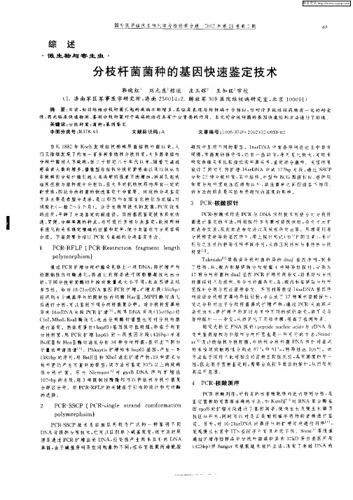分枝杆菌菌种的基因快速鉴定技术