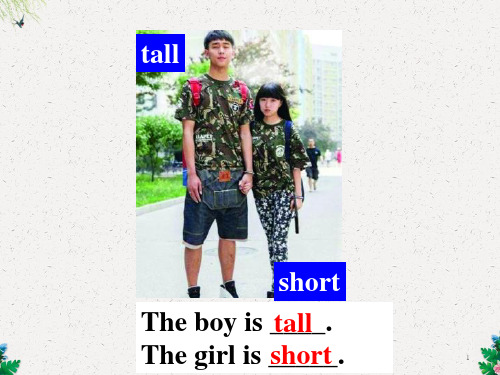 冀教版七年级英语上册  Unit 3 Lesson 15 Tall and Short(共19张PPT)