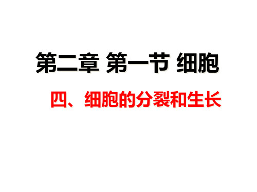 2.1.4细胞的分裂与生长课件 2021--2022学年冀少版生物七年级上册