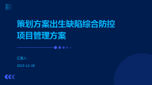 策划方案出生缺陷综合防控项目管理方案