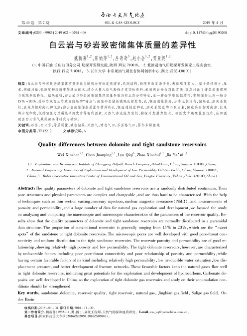 白云岩与砂岩致密储集体质量的差异性