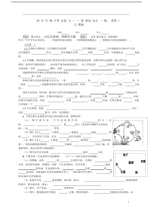 (完整版)初中生物中考总复习-重要知识点(图、表等)-人教版.doc