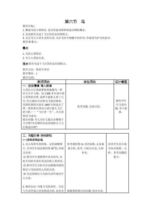 第六节 鸟(教案)人教版生物八年级上册