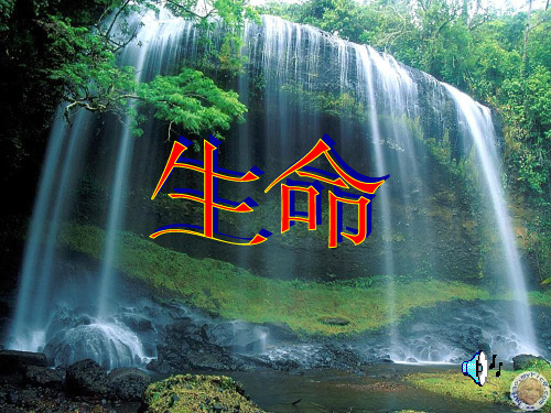 《谈生命》3ppt