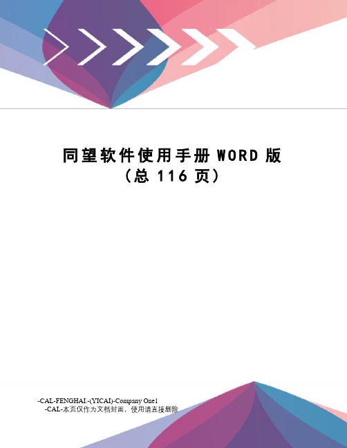 同望软件使用手册WORD版