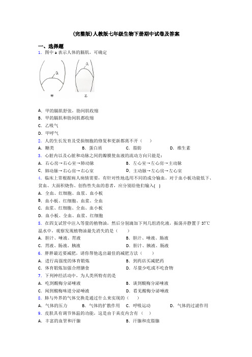 (完整版)人教版七年级生物下册期中试卷及答案