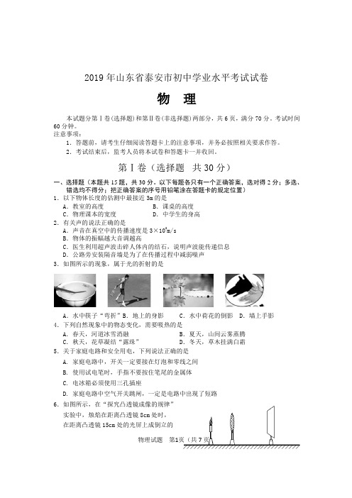 2019年山东省泰安市中考试物理试题(含答案)