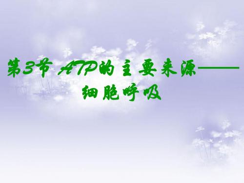 生物必修一第五章第3节—ATP的主要来源—细胞呼吸