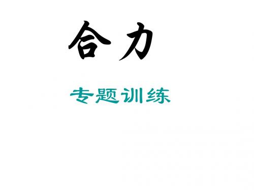 初三物理上学期合力专题训练(中学课件201909)