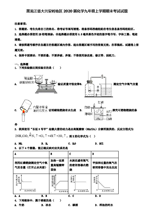 黑龙江省大兴安岭地区2020届化学九年级上学期期末考试试题