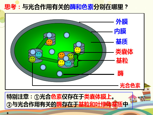 光合作用完整版课件