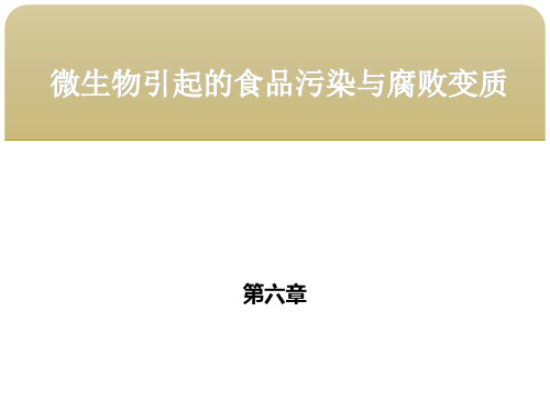 食品微生物学 第六章微生物引起的食品污染与腐败变质 第四节食品中腐败微生物的防治与食品保藏