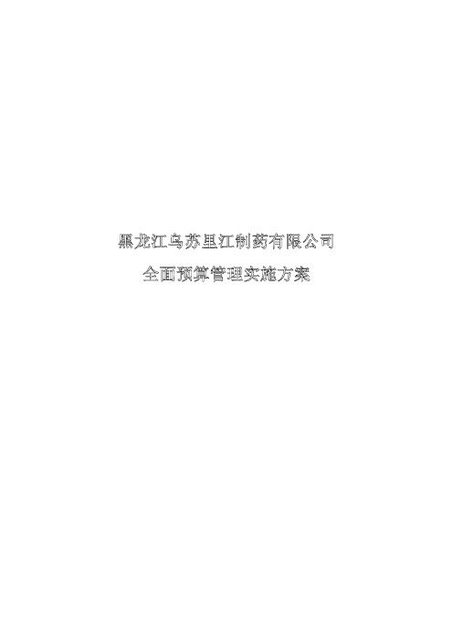 全面预算管理实施方案