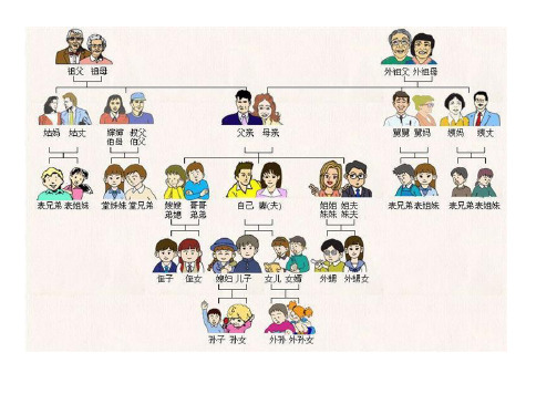 家庭成员的关系及称呼图片