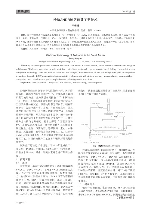 沙特ANDR地区修井工艺技术