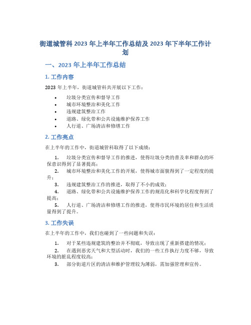 街道城管科2023年上半年工作总结及2023年下半年工作计划