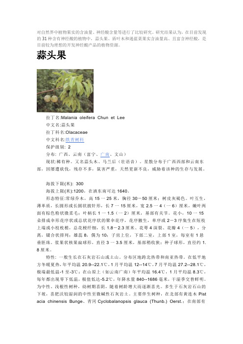 蒜头果简介