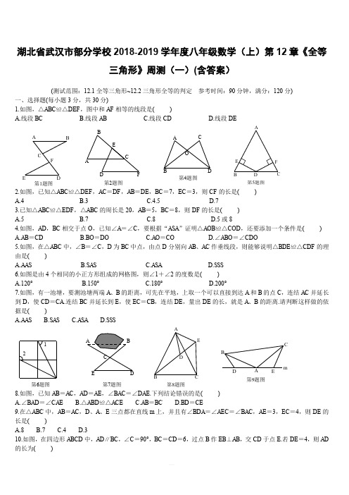 湖北省武汉市部分学校2018-2019学年度八年级数学(上)第12章《全等三角形》周测(一)(含答案)