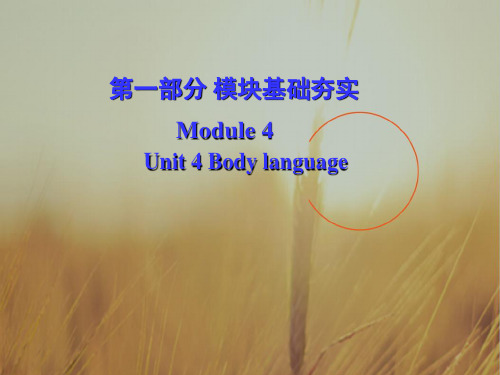 广东省广州市培才高级中学2018高考英语复习课件:必修三 Unit 4 Body language