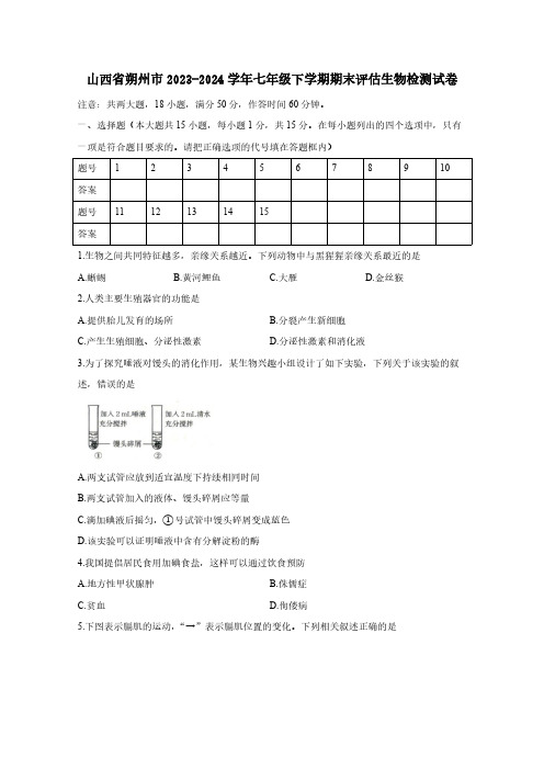 山西省朔州市2023-2024学年七年级下学期期末评估生物检测试卷(含答案)