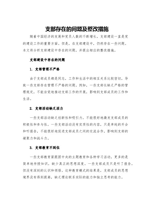 支部存在的问题及整改措施