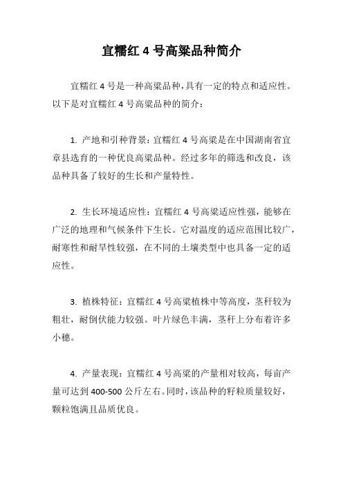 宜糯红4号高粱品种简介