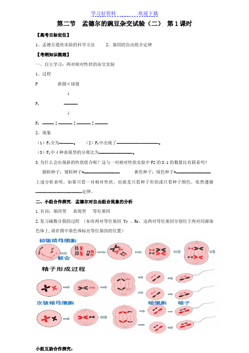 《孟德尔的豌豆杂交实验(二)》导学案