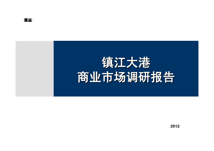 镇江大港商业市场调研报告