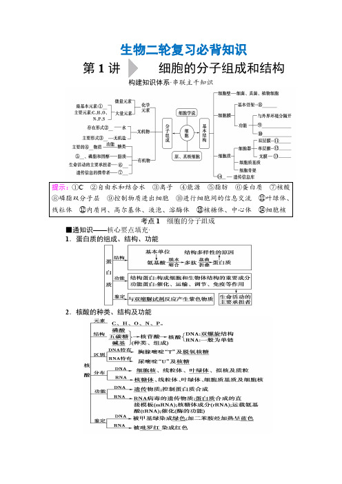 生物二轮复习