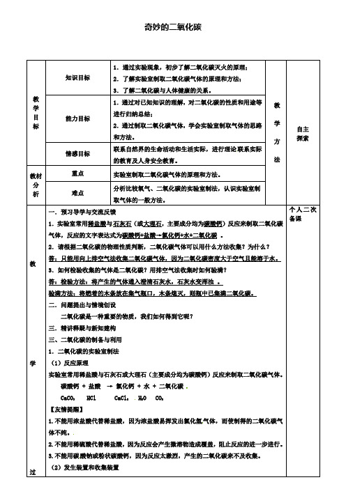 九年级化学2.2奇妙的二氧化碳教案2新版