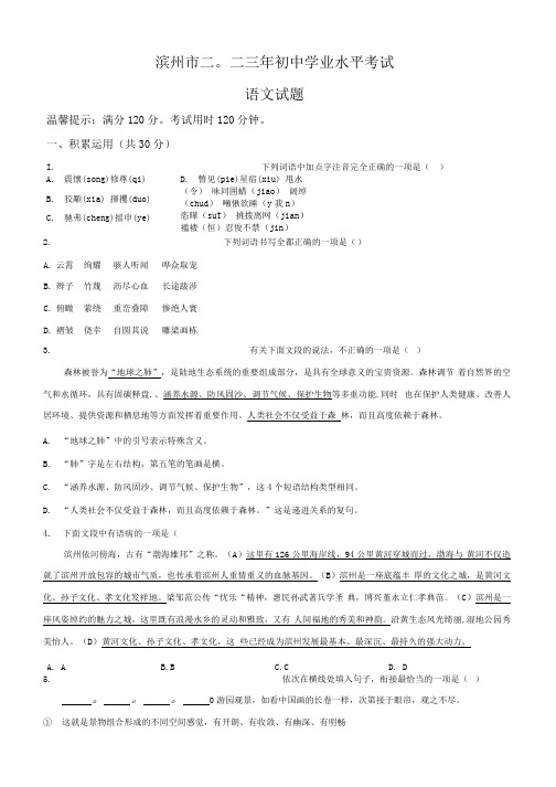 2023年山东省滨州市中考语文试题(含答案解析)