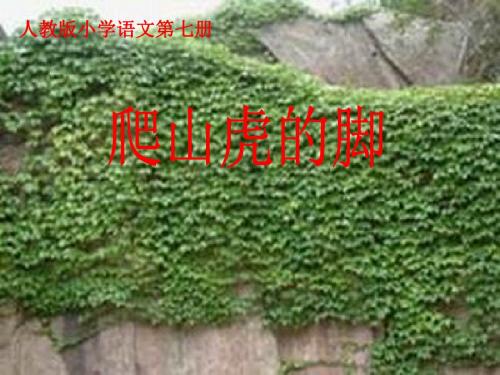 6课新建 Microsoft PowerPoint 演示文稿