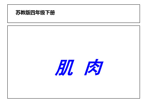 《肌肉》PPT教学课件苏教版科学1