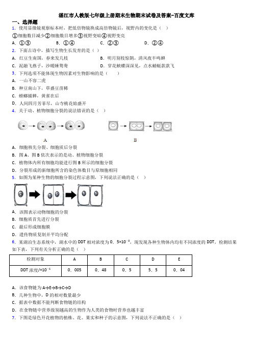 湛江市人教版七年级上册期末生物期末试卷及答案-百度文库