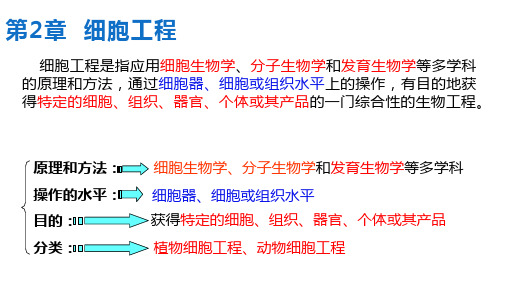 植物细胞工程课件高二下学期生物人教版选择性必修3