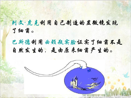 青岛版小学科学教学课件五年级上册《2 细菌》 2