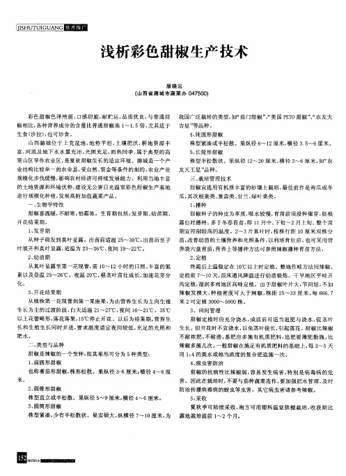 浅析彩色甜椒生产技术