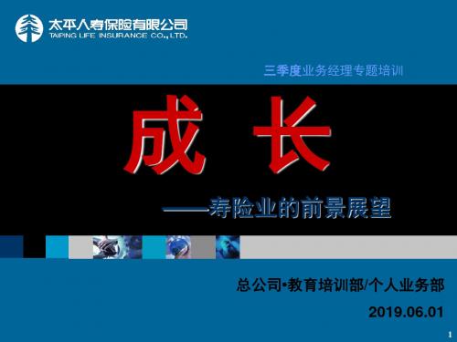 保险公司培训课件:成长2-寿险业的前景展望 20页PPT文档
