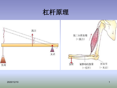 肘关节PPT教学课件