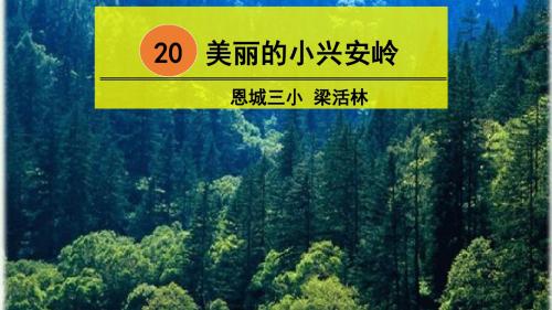 部编小学三年级上册《六单元20 美丽的小兴安岭》梁活林PPT课件 一等奖新名师优质公开课获奖比赛人教版