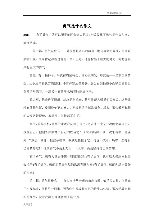 勇气是什么作文