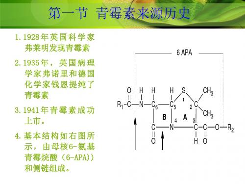 青霉素及碳青霉烯PPT课件
