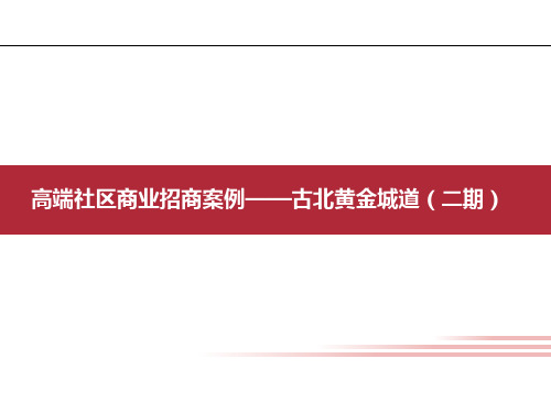 黄金城道商业案例演示