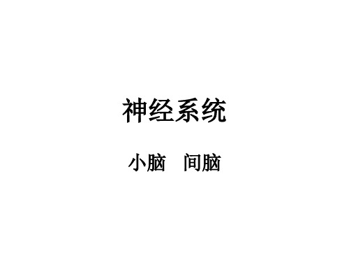 小脑间脑PPT课件